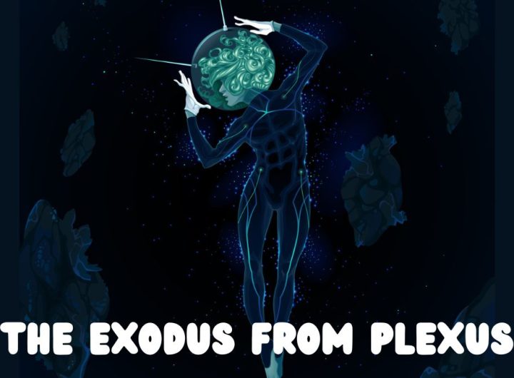 The Exodus from Plexus