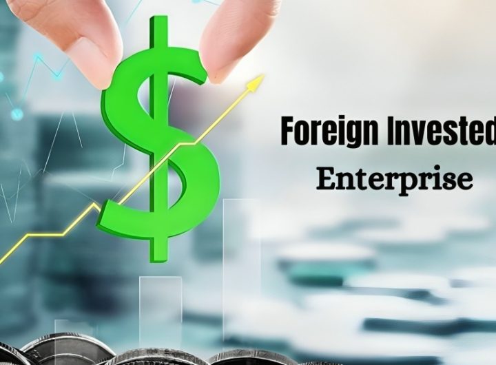 Foreign Invested Enterprise